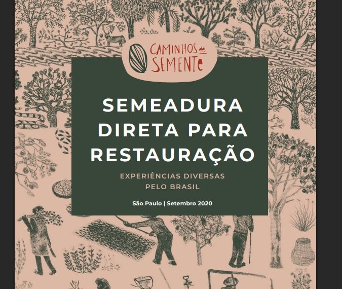 Semeadura direta: publicação apresenta 14 casos de sucesso na restauração ecológica pelo Brasil